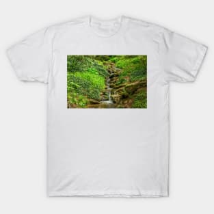 Small Mountain Waterfall T-Shirt